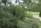 Carlton VICresidential-landscaping-35.jpg; ?>